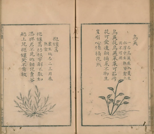 怎么用粘土做起泡胶，用粘土怎么做起泡胶（只有香菜星人才知道）