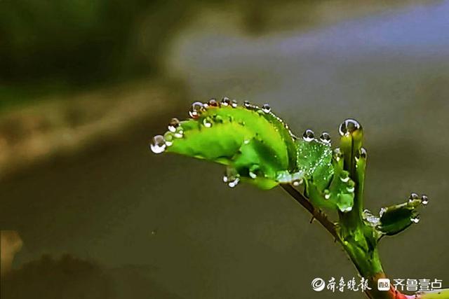 春天的景色自然风景大自然，春天大自然的美景（春天的气息 处处皆美景）