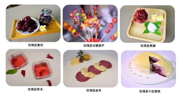 洛神花是什么花，植物界的红宝石——玫瑰茄