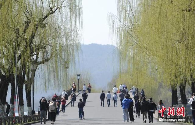 2021年人口普查结果，2021年人口普查结果出来了吗（2021年人口数据陆续出炉）