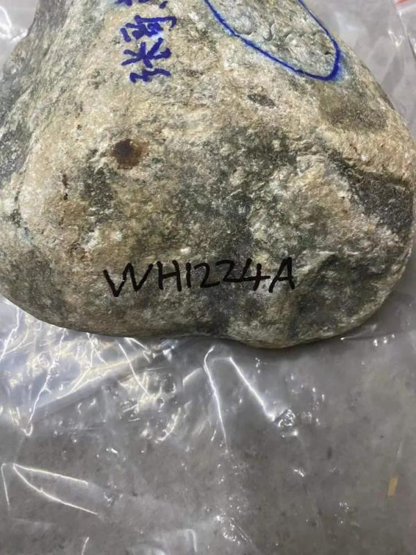 可爱的一只小胖猪，微信头像，可爱的一只小胖猪（家庭主妇直播间里花了118万）