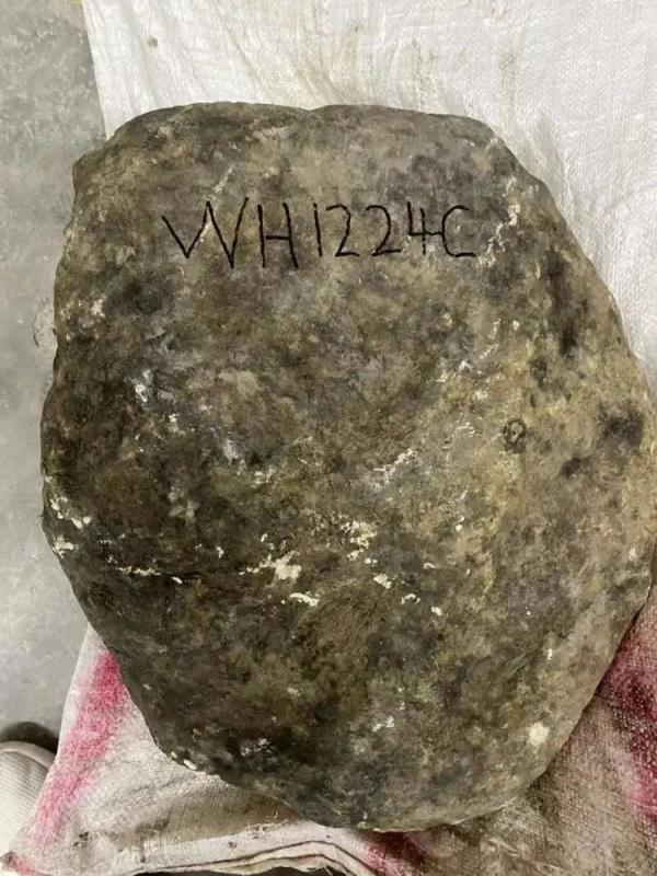 可爱的一只小胖猪，微信头像，可爱的一只小胖猪（家庭主妇直播间里花了118万）