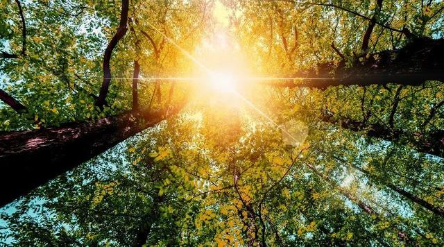 下午2点到3点是什么时辰，晚上8点到9点是什么时辰（夜读丨细说十二时辰）