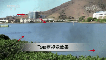 人体悬浮魔术揭秘，难以解释的“人体悬浮术”（为啥眼前经常有小黑点在飘）