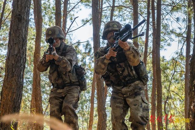 各兵种军人训练超燃，直击第75集团军某旅多兵种联合训练