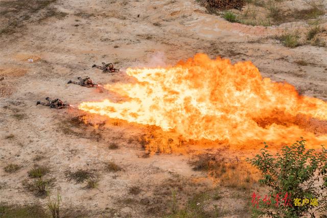 各兵种军人训练超燃，直击第75集团军某旅多兵种联合训练