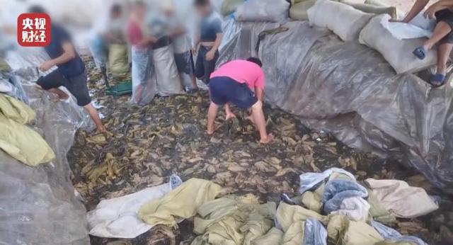 手机腾讯微博登录入口，腾讯微博登陆（被“3.15”曝光企业）