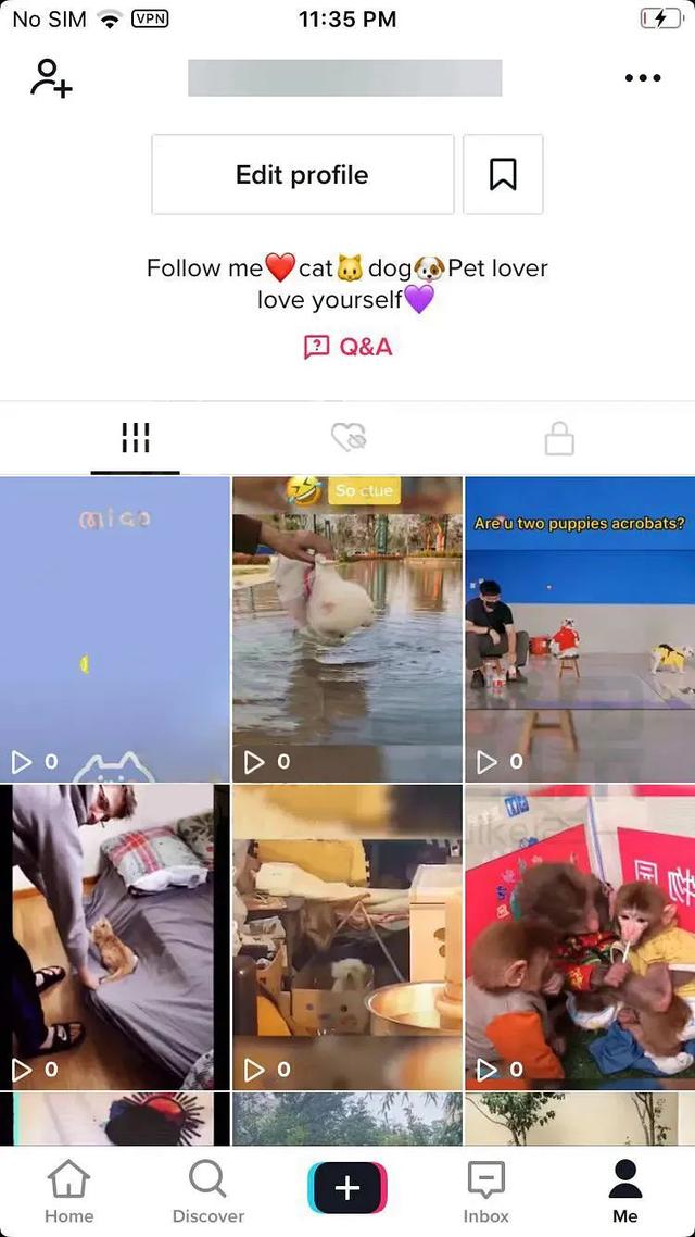 海外版抖音怎么赚钱，海外版抖音怎么赚钱啊？