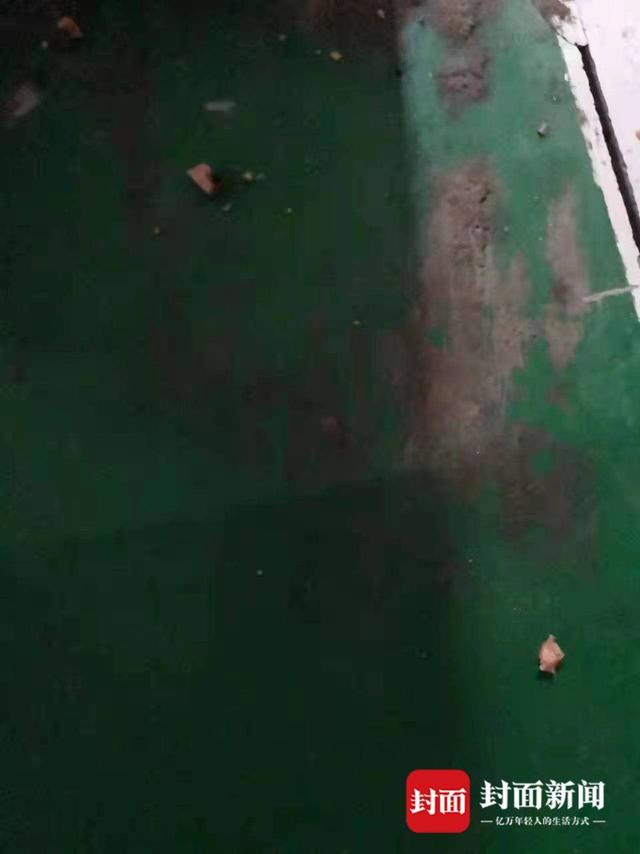 狗交，武汉一小区多只宠物狗疑吃有毒火腿肠后死亡（我的老公是只狗免费阅读）