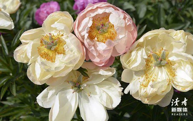 正能量文案短句，正能量文案短句干净治愈（10条正能量文案）