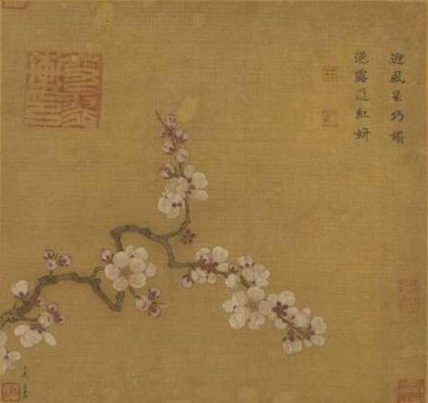 梦见满树的杏花盛开是什么意思预兆，梦到树上开满杏花（杏花：鹧鸪声里雨丝斜）