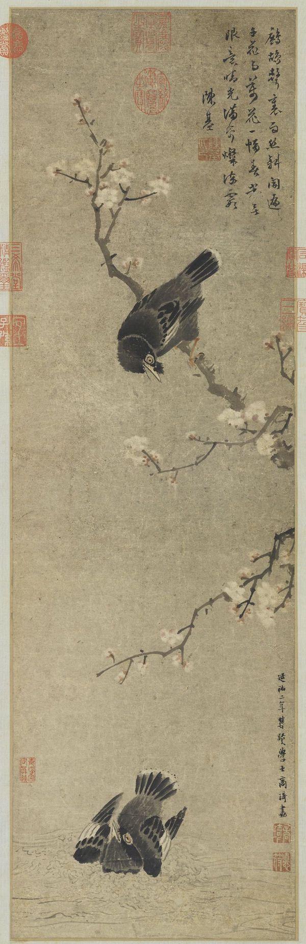 梦见满树的杏花盛开是什么意思预兆，梦到树上开满杏花（杏花：鹧鸪声里雨丝斜）