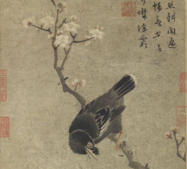 梦见满树的杏花盛开是什么意思预兆，梦到树上开满杏花（杏花：鹧鸪声里雨丝斜）