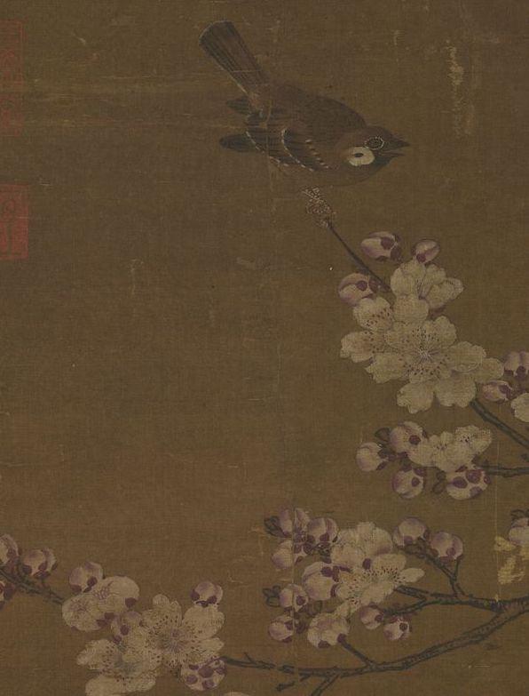 梦见满树的杏花盛开是什么意思预兆，梦到树上开满杏花（杏花：鹧鸪声里雨丝斜）