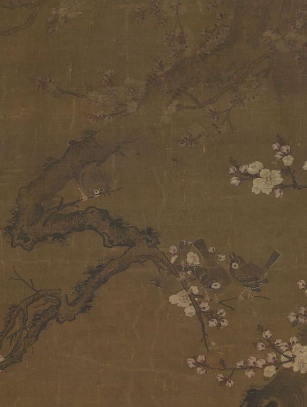 梦见满树的杏花盛开是什么意思预兆，梦到树上开满杏花（杏花：鹧鸪声里雨丝斜）