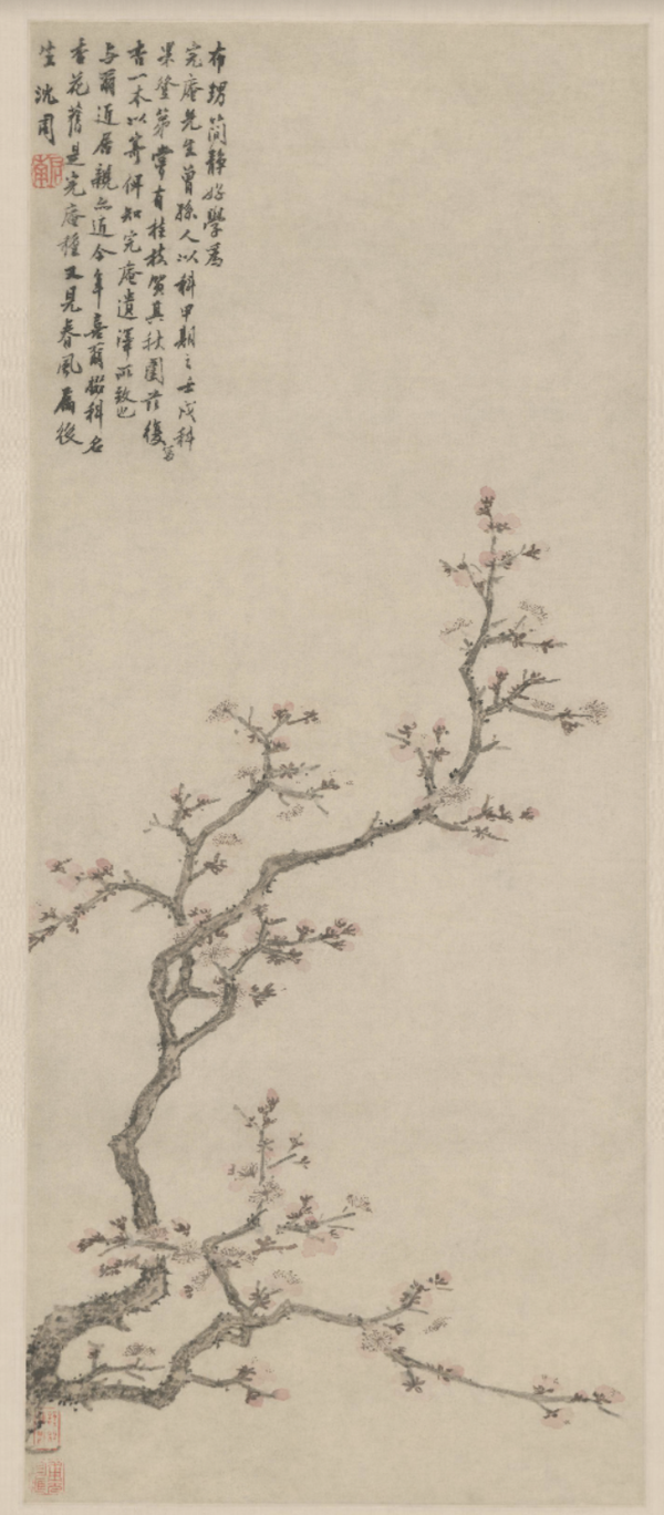 梦见满树的杏花盛开是什么意思预兆，梦到树上开满杏花（杏花：鹧鸪声里雨丝斜）