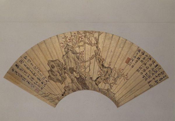 梦见满树的杏花盛开是什么意思预兆，梦到树上开满杏花（杏花：鹧鸪声里雨丝斜）