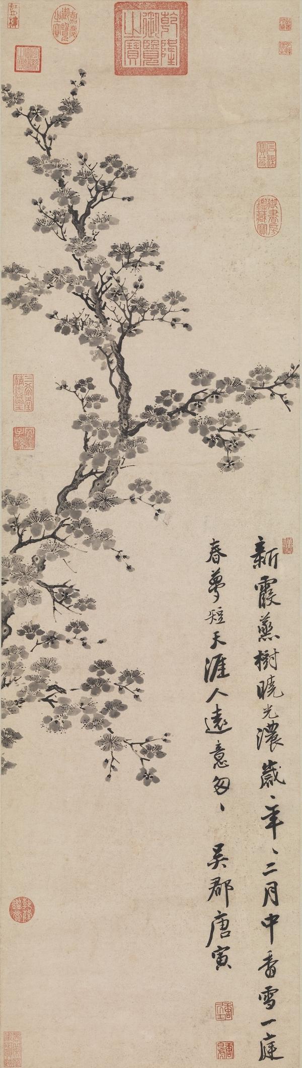 梦见满树的杏花盛开是什么意思预兆，梦到树上开满杏花（杏花：鹧鸪声里雨丝斜）