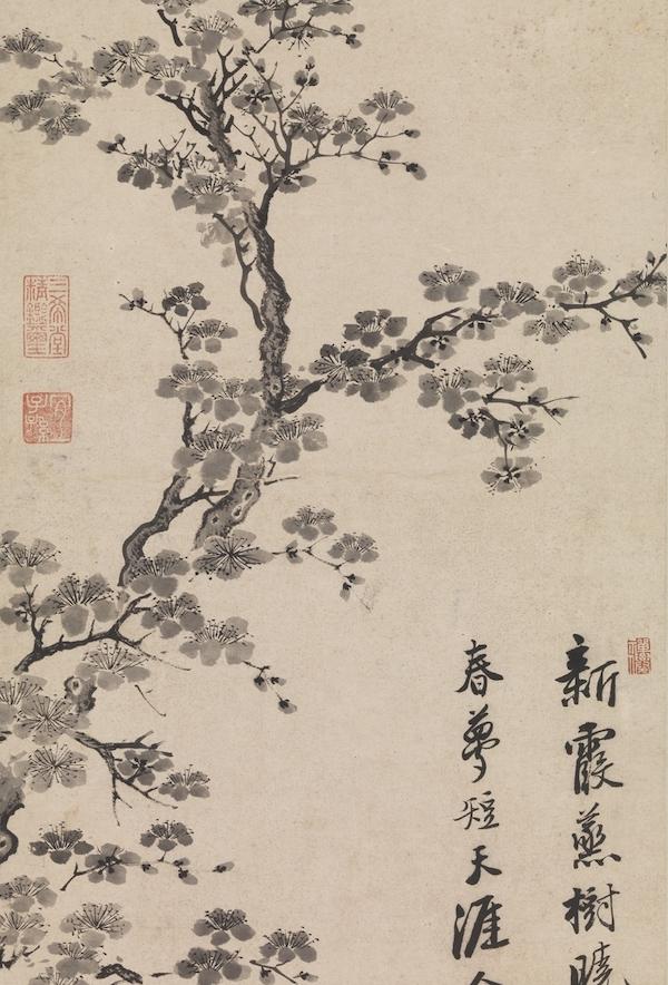 梦见满树的杏花盛开是什么意思预兆，梦到树上开满杏花（杏花：鹧鸪声里雨丝斜）