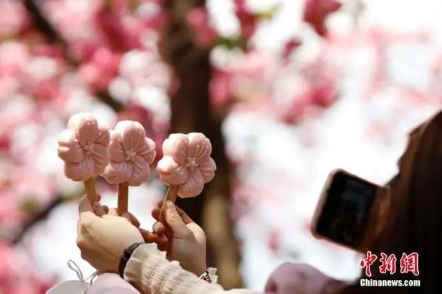 c罩杯有多大水果比喻，c罩杯有多大（樱花味的东西就有多难吃”）