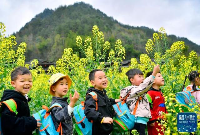 古木阴中系短篷，谁知道春天的诗歌啊（我坐春风里，只为等你……）