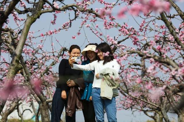 古木阴中系短篷，谁知道春天的诗歌啊（我坐春风里，只为等你……）