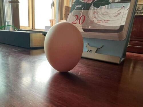 977是什么意思，抖音中的977是什么意思（春分民俗大赏）