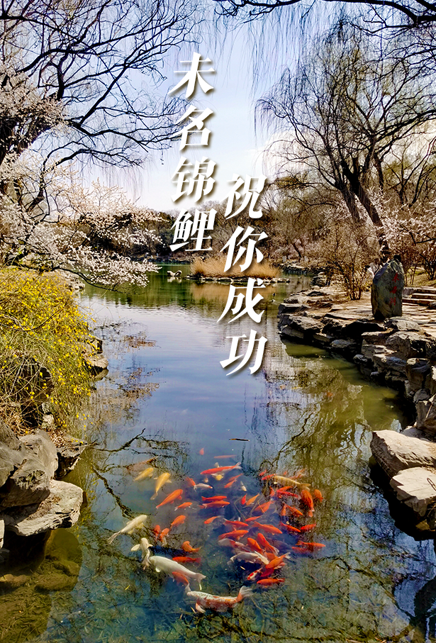 北大研究生招生网官网(在职研究生招生网)