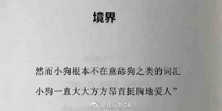 面包狗，面包狗什么梗（为什么现在那么多人喜欢自称小狗）