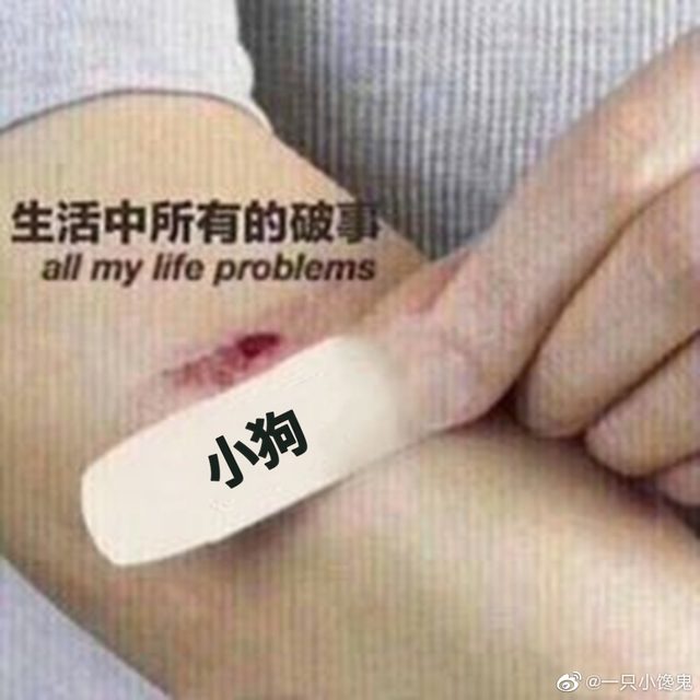 面包狗，面包狗什么梗（为什么现在那么多人喜欢自称小狗）