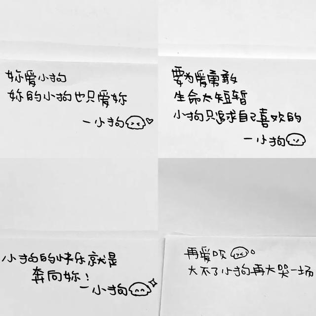 面包狗，面包狗什么梗（为什么现在那么多人喜欢自称小狗）