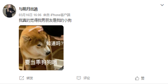 面包狗，面包狗什么梗（为什么现在那么多人喜欢自称小狗）