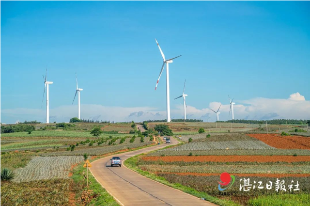 湛江多少网红，湛江这个全国第一，值得关注