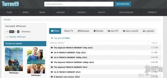 挂梯子是什么意思，整理了一波可用的梯子（俄罗斯受到的游戏制裁和世界第一的黑客组织）