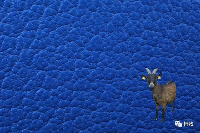 真皮皮鞋为什么这么贵，牛皮皮鞋贵吗（为啥皮鞋大多是牛皮羊皮）