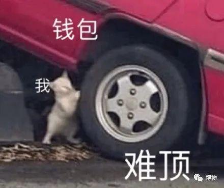 真皮皮鞋为什么这么贵，牛皮皮鞋贵吗（为啥皮鞋大多是牛皮羊皮）