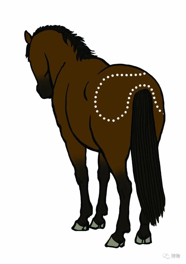 真皮皮鞋为什么这么贵，牛皮皮鞋贵吗（为啥皮鞋大多是牛皮羊皮）