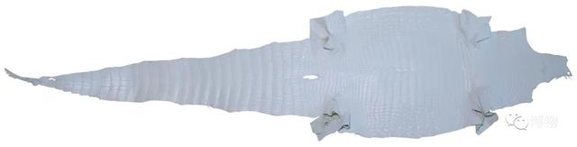 真皮皮鞋为什么这么贵，牛皮皮鞋贵吗（为啥皮鞋大多是牛皮羊皮）