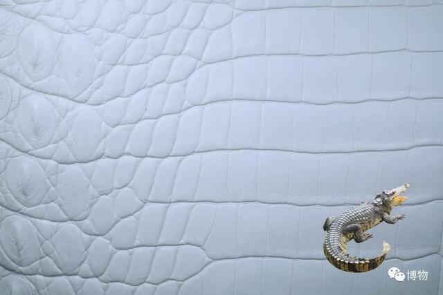 真皮皮鞋为什么这么贵，牛皮皮鞋贵吗（为啥皮鞋大多是牛皮羊皮）