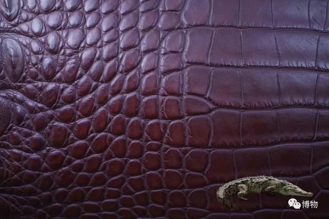 真皮皮鞋为什么这么贵，牛皮皮鞋贵吗（为啥皮鞋大多是牛皮羊皮）