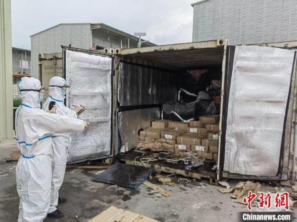 20尺的集装箱长宽高多少，20尺集装箱内部尺寸（广东江门海警局破获特大走私冻品案）