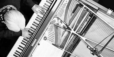 小白兔歌词，歌曲小白兔完整版（我的声音就像小岛）