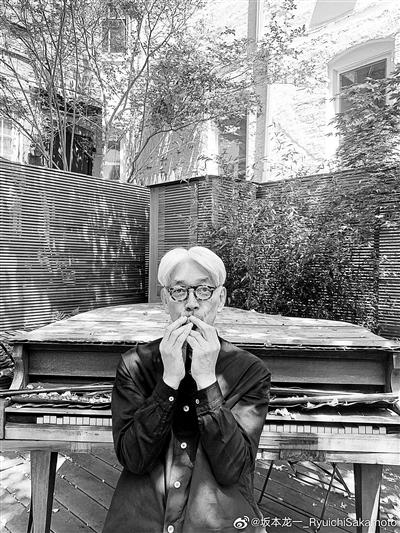 小白兔歌词，歌曲小白兔完整版（我的声音就像小岛）