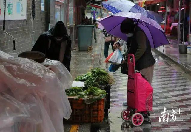 水沝淼淼怎么读，水沝淼淼什么意思