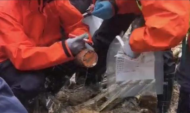 什么是9浅1深左3右3，9浅1深左3右3怎么做（我在现场·照片背后的故事丨山林、雨水、泥泞）