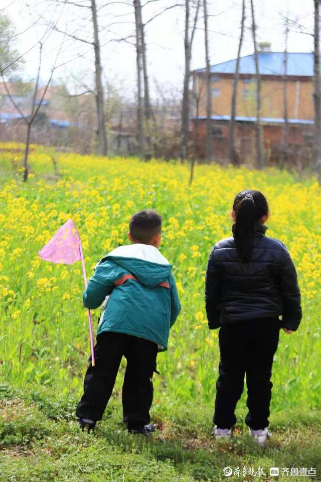 飞入菜花无处寻，飞入菜花无处寻的处寻什么意思（儿童急走追黄蝶）