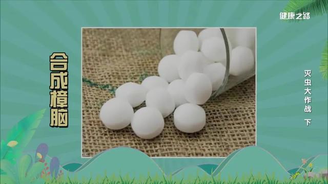 房间如何预防蟑螂，房间如何预防蟑螂进来（精准对付蟑螂、蚊子、蛀虫）