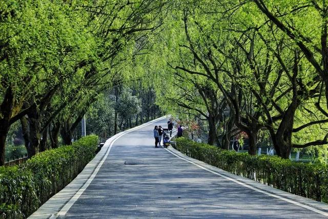 贵阳有什么好玩的地方，贵州贵阳有什么好玩的地方（贵阳这些宝藏赏春地别错过）