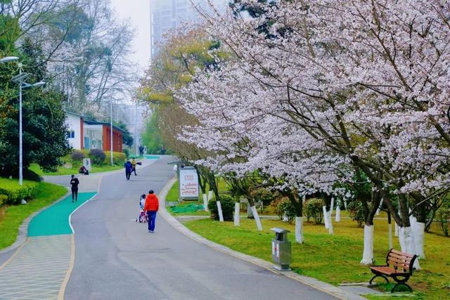 贵阳有什么好玩的地方，贵州贵阳有什么好玩的地方（贵阳这些宝藏赏春地别错过）