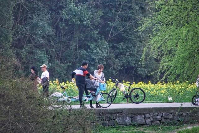 贵阳有什么好玩的地方，贵州贵阳有什么好玩的地方（贵阳这些宝藏赏春地别错过）